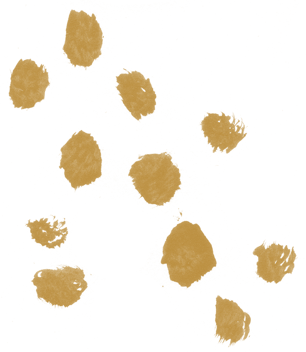 gold paint daubs