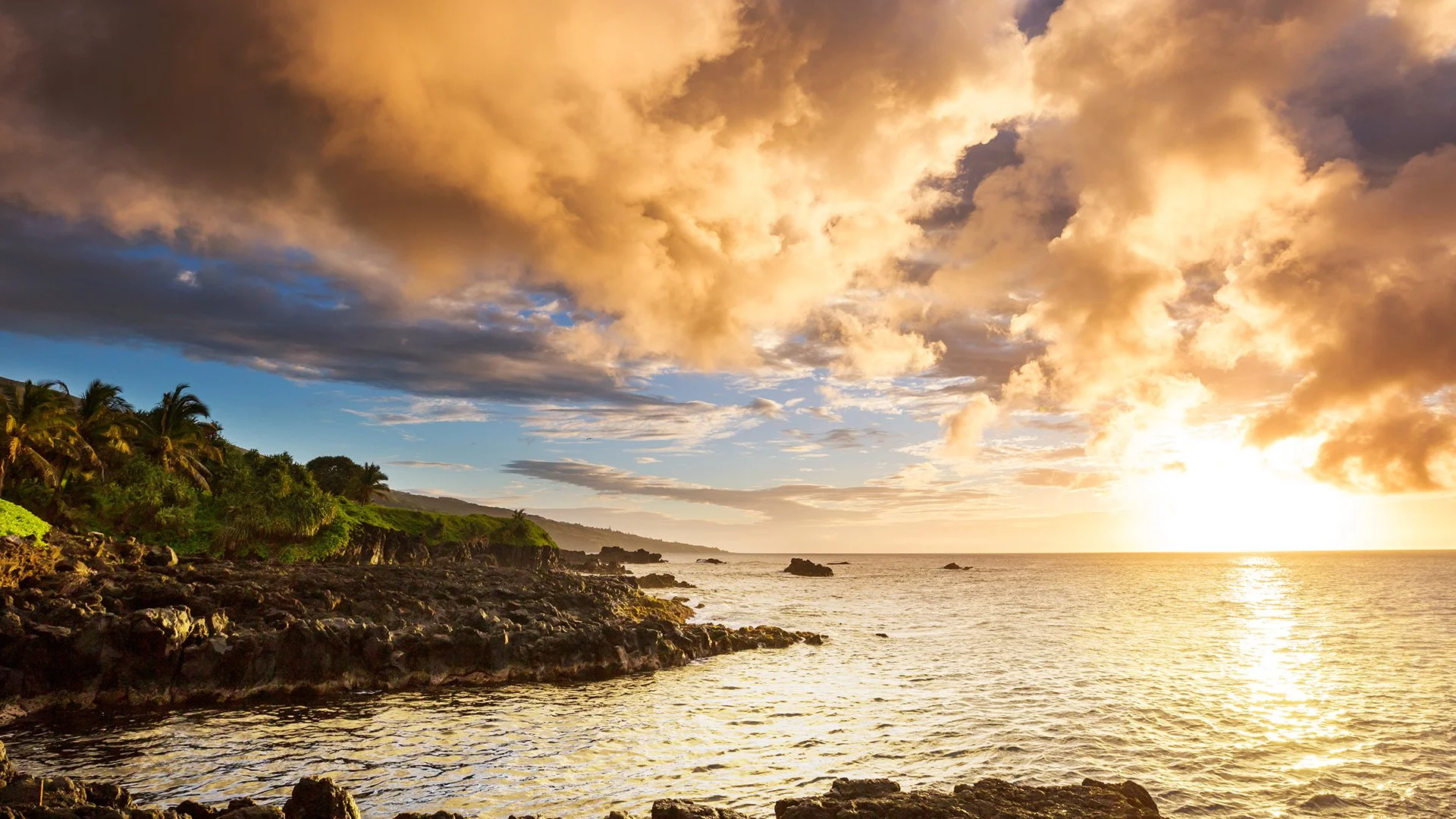 Sunset over a rocky coastline with palm trees and green vegetation, with dramatic clouds in the sky.