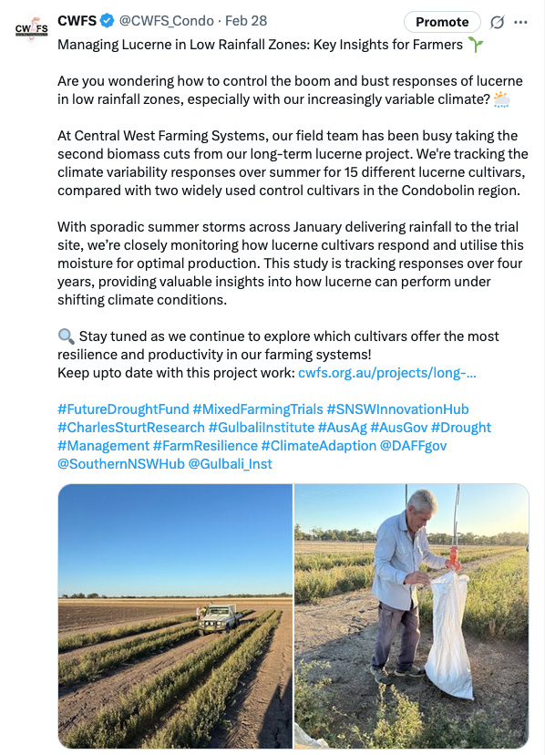 Screenshot 2025-06-25 at 3.30.30 pm.png