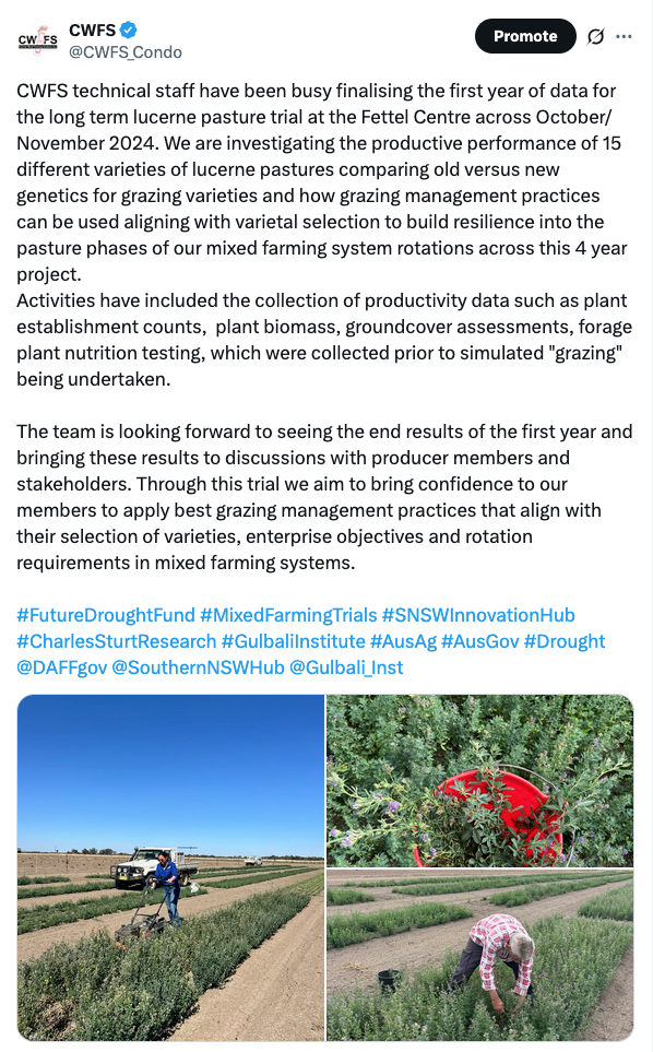 Screenshot 2025-06-25 at 3.27.14 pm.png