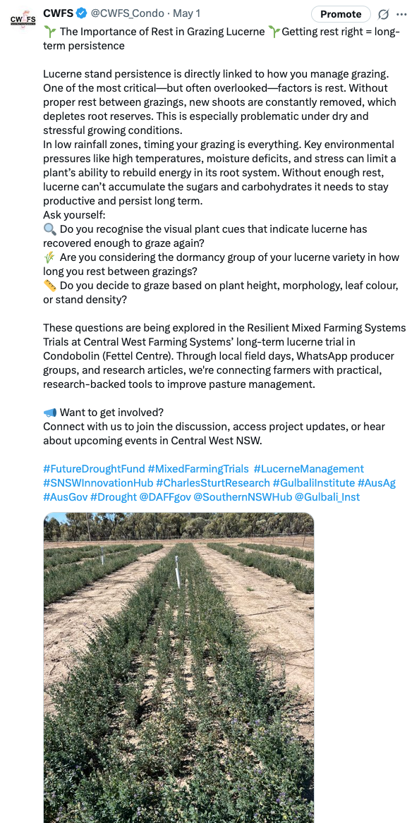 Screenshot 2025-06-25 at 3.32.07 pm.png