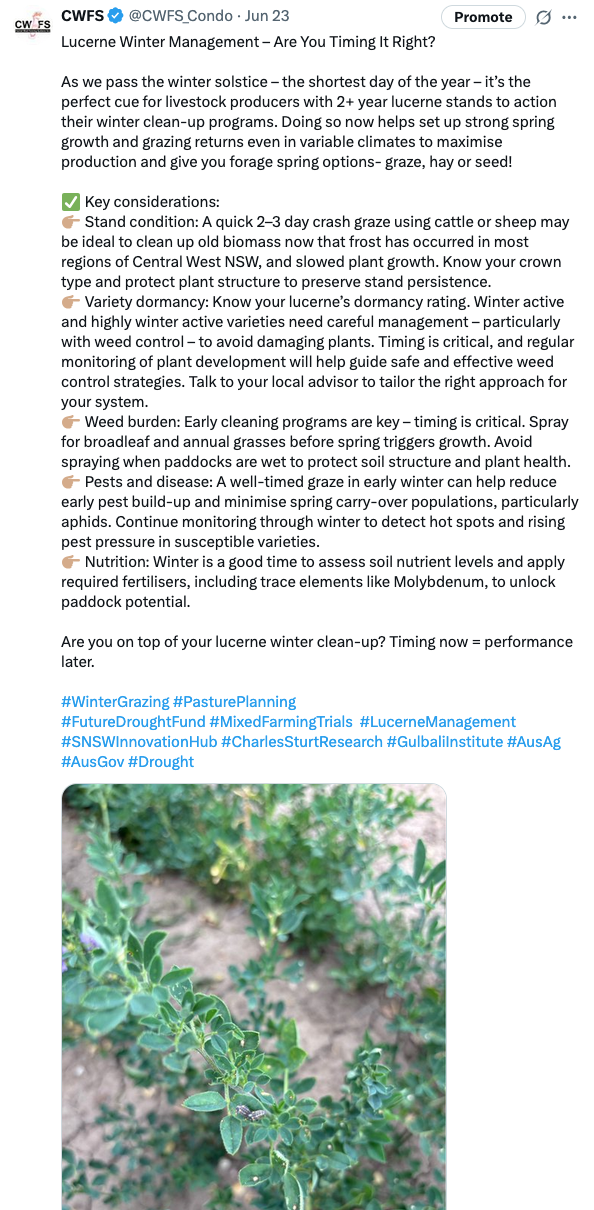 Screenshot 2025-06-25 at 3.36.05 pm.png