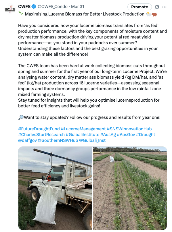 Screenshot 2025-06-25 at 3.31.14 pm.png