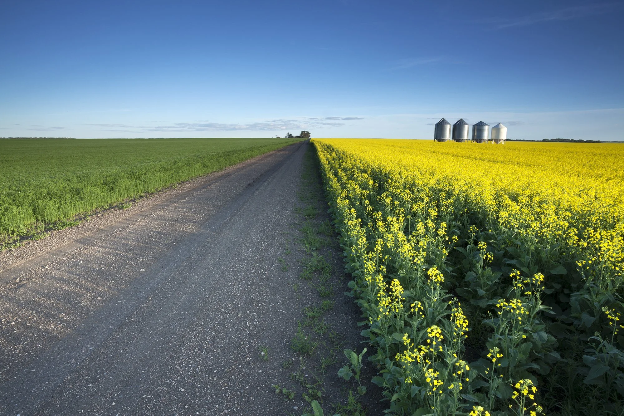 GRDC Grain Storage Workshop
