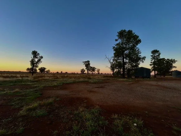 2014 and 2015 Lime Trials