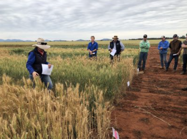 Screenshot 2025-11-24 at 8.15.43 am.png