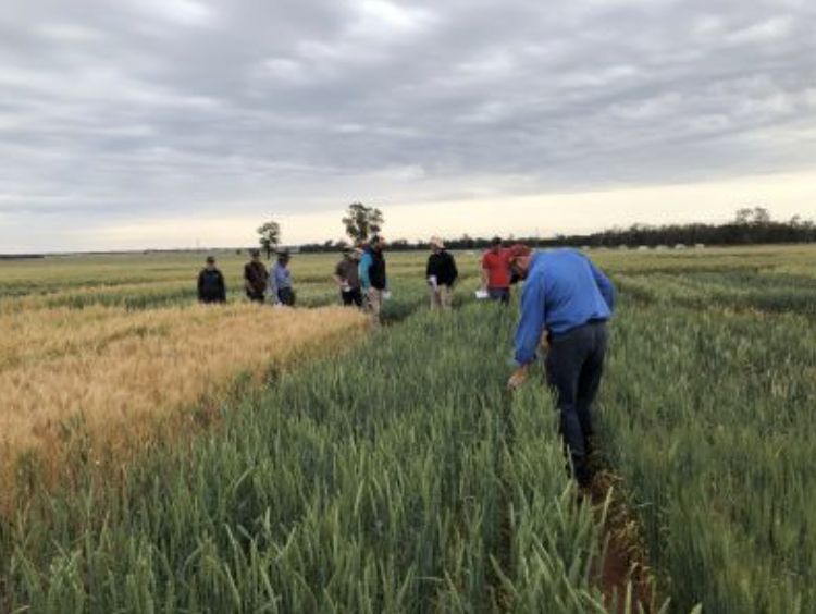 Screenshot 2025-11-24 at 8.15.31 am.png