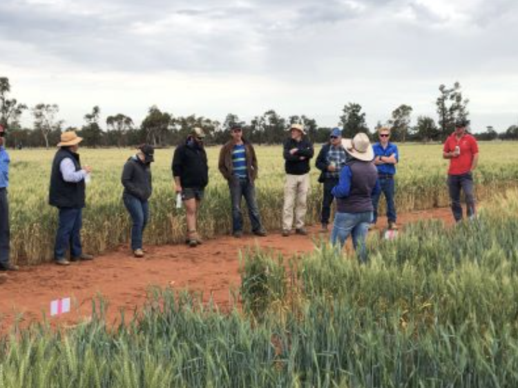 Screenshot 2025-11-24 at 8.15.39 am.png