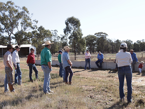 Saving our soils during drought
