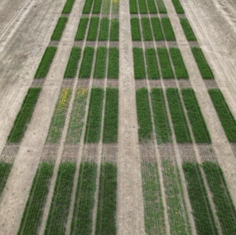 Screenshot 2025-11-26 at 7.58.02 am.png