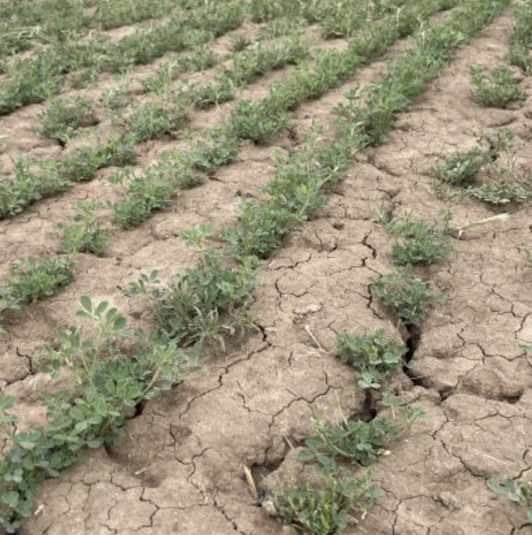 Screenshot 2025-11-26 at 8.17.43 am.png