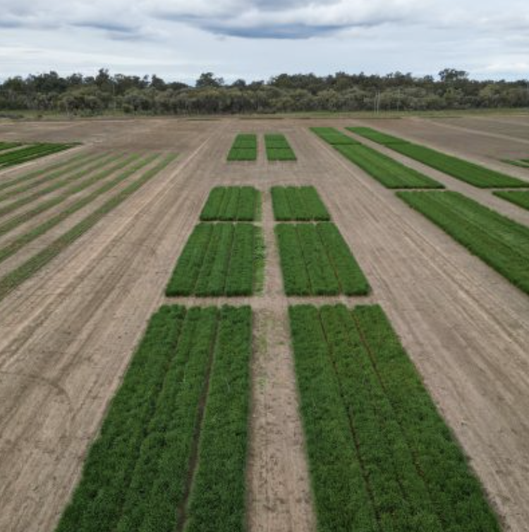 Screenshot 2025-11-26 at 8.39.42 am.png