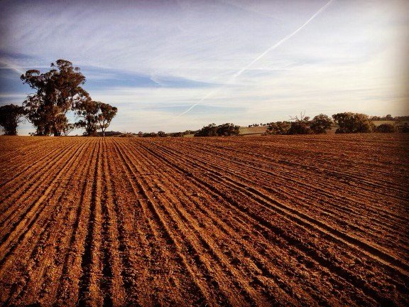 Visualising Australia’s Soils