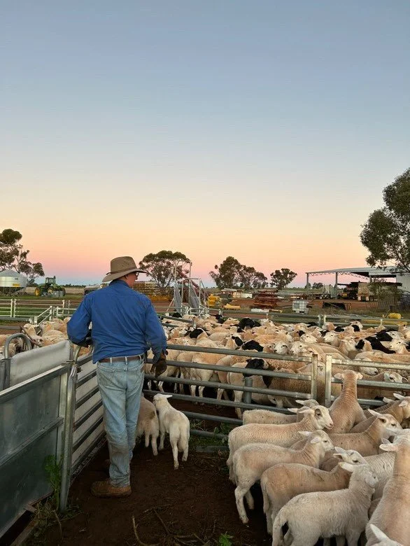 Risk/reward of new farming practices