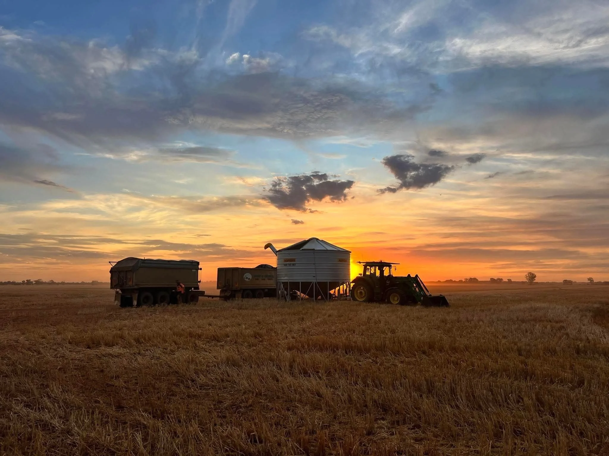 Alternative pasture legumes in NSW Central West