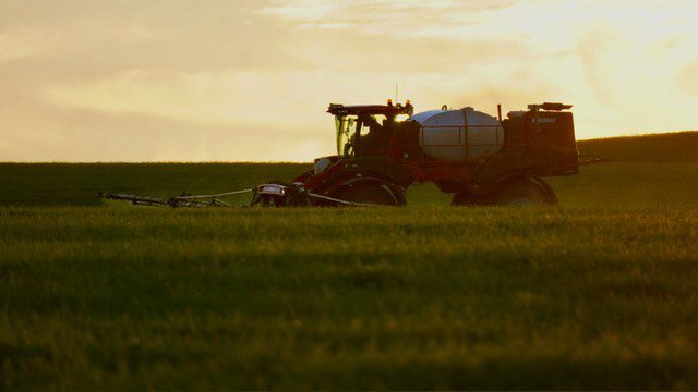 Organic N versus Synthetic N