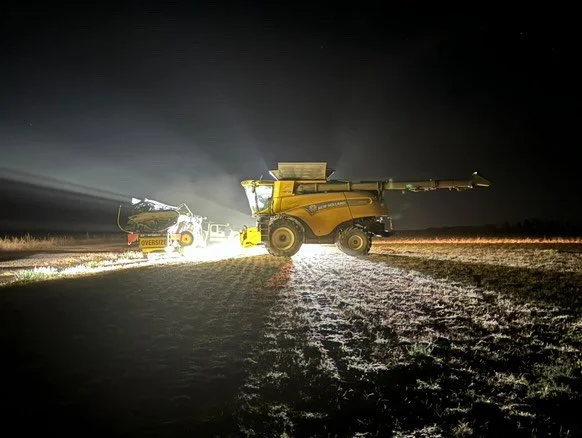 Rhizosphere modification