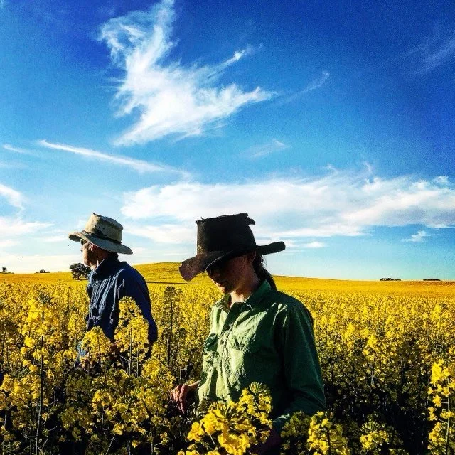 Why Soil Management Practices are Adopted