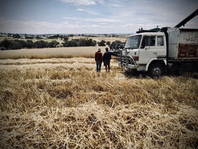 Visualising Australasia’s Soils