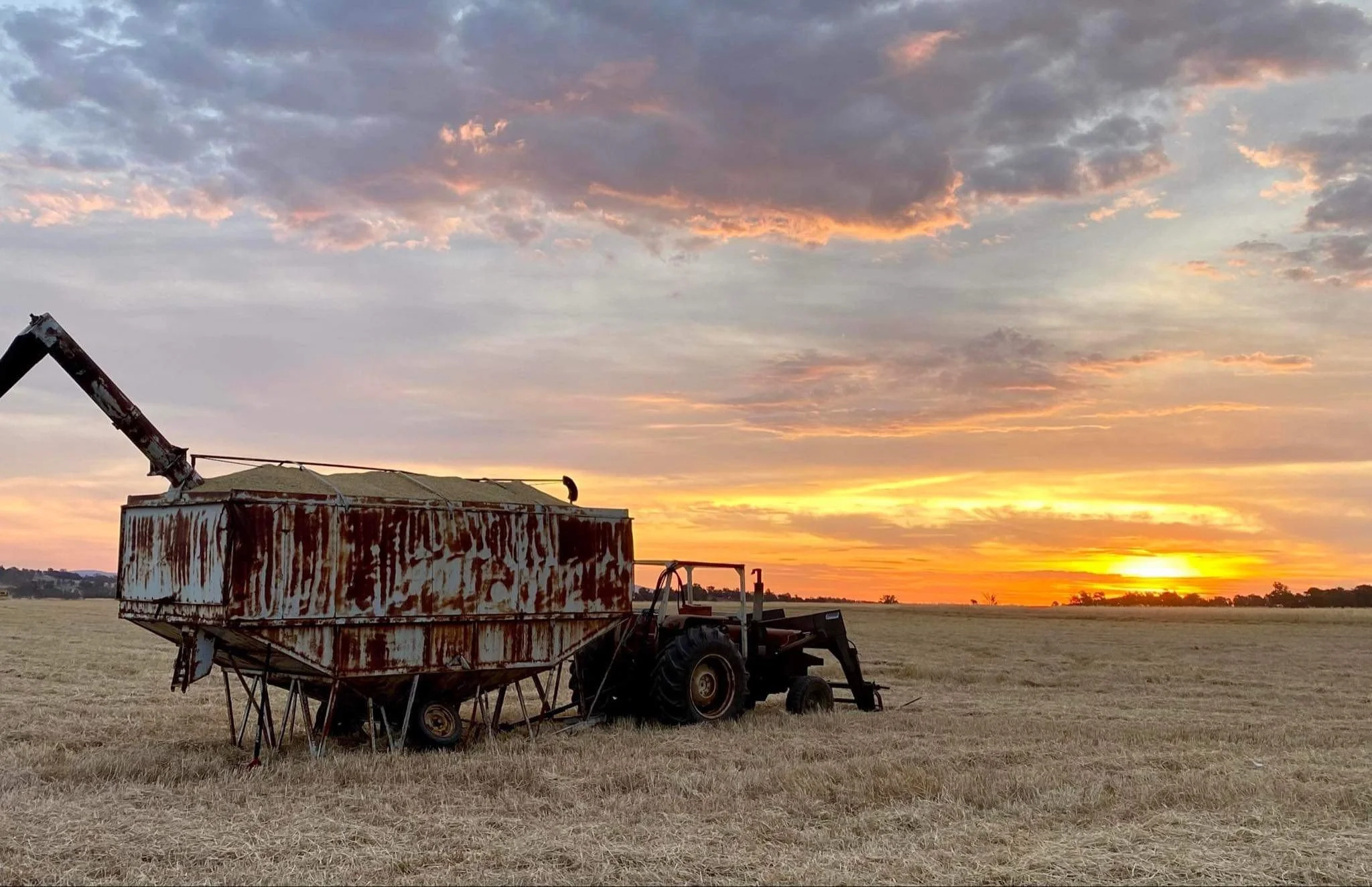 Unlocking Soil Nutrients with Organic Matter
