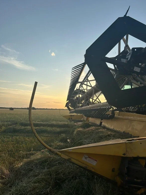 Recovering Nutrients from Organic Waste Streams