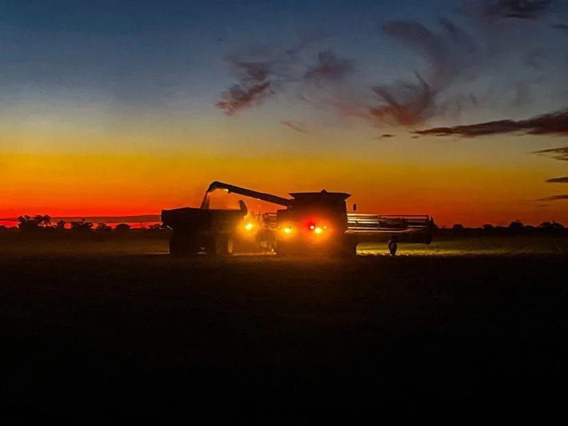 Addressing Complex Soil Constraints