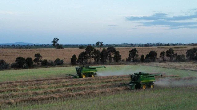 Overdependence On Agrochemicals