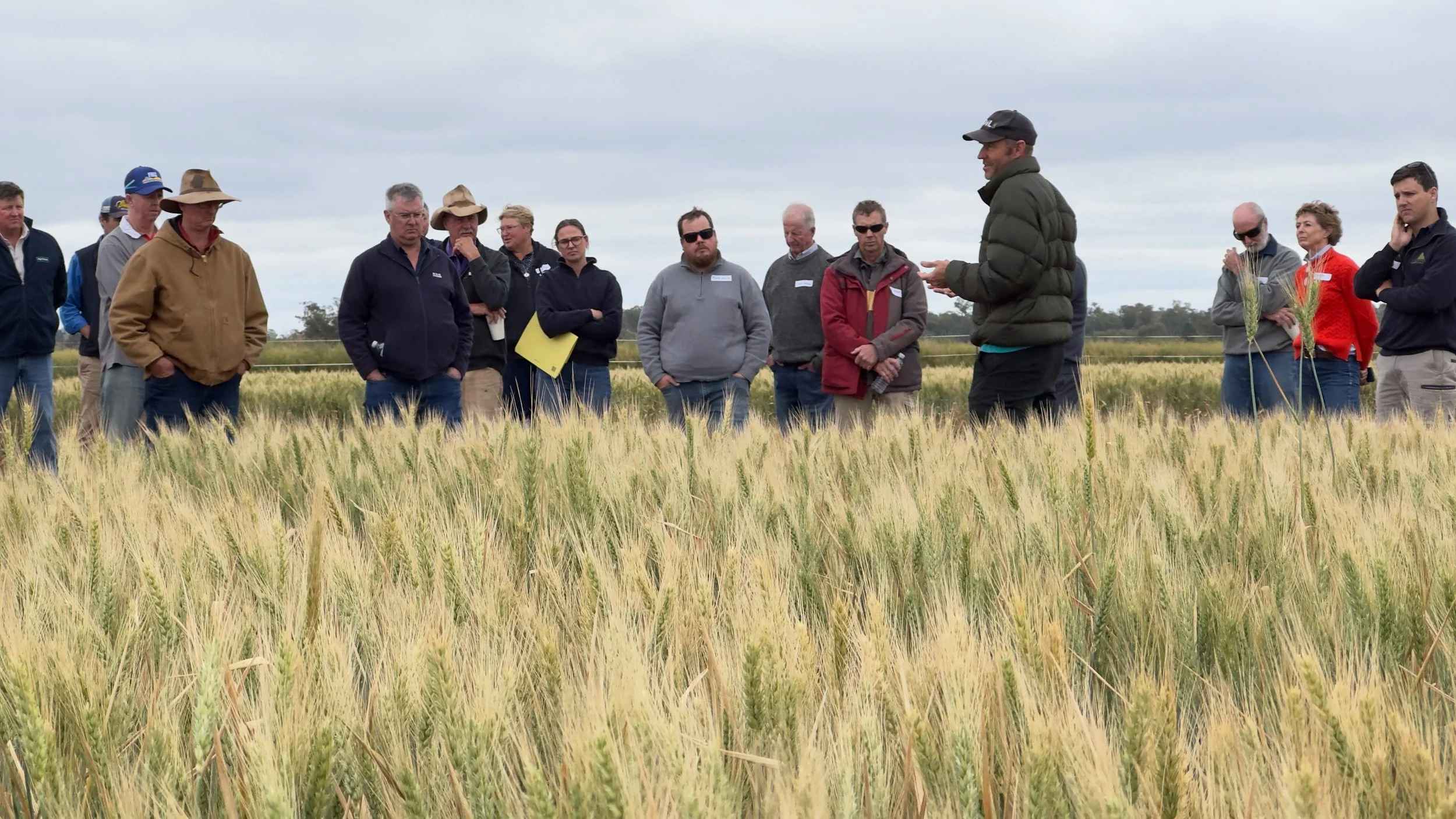 Southern NSW Innovation Hub Node Launch &amp; CWFS Field Walk – 1 September 2022