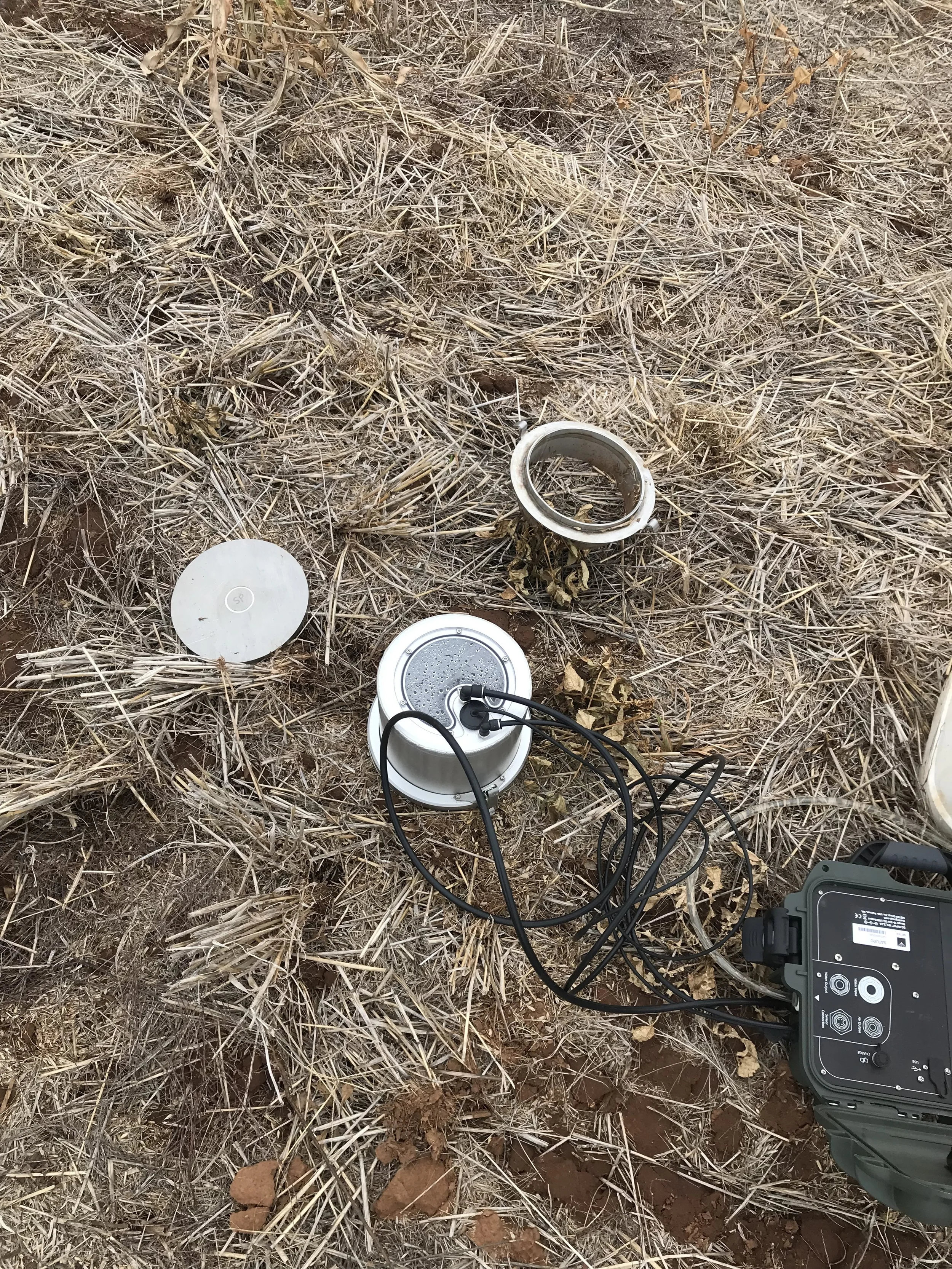 Soil Microbial Indicators