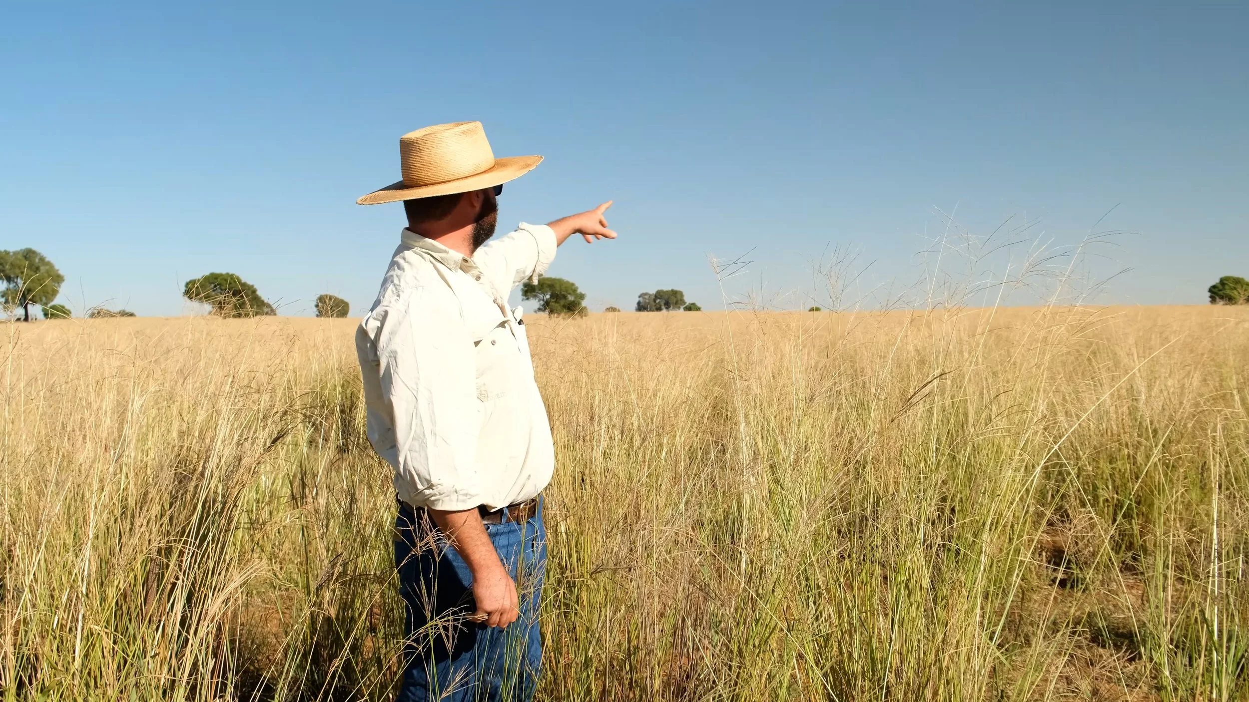 Resilient Pasture Systems