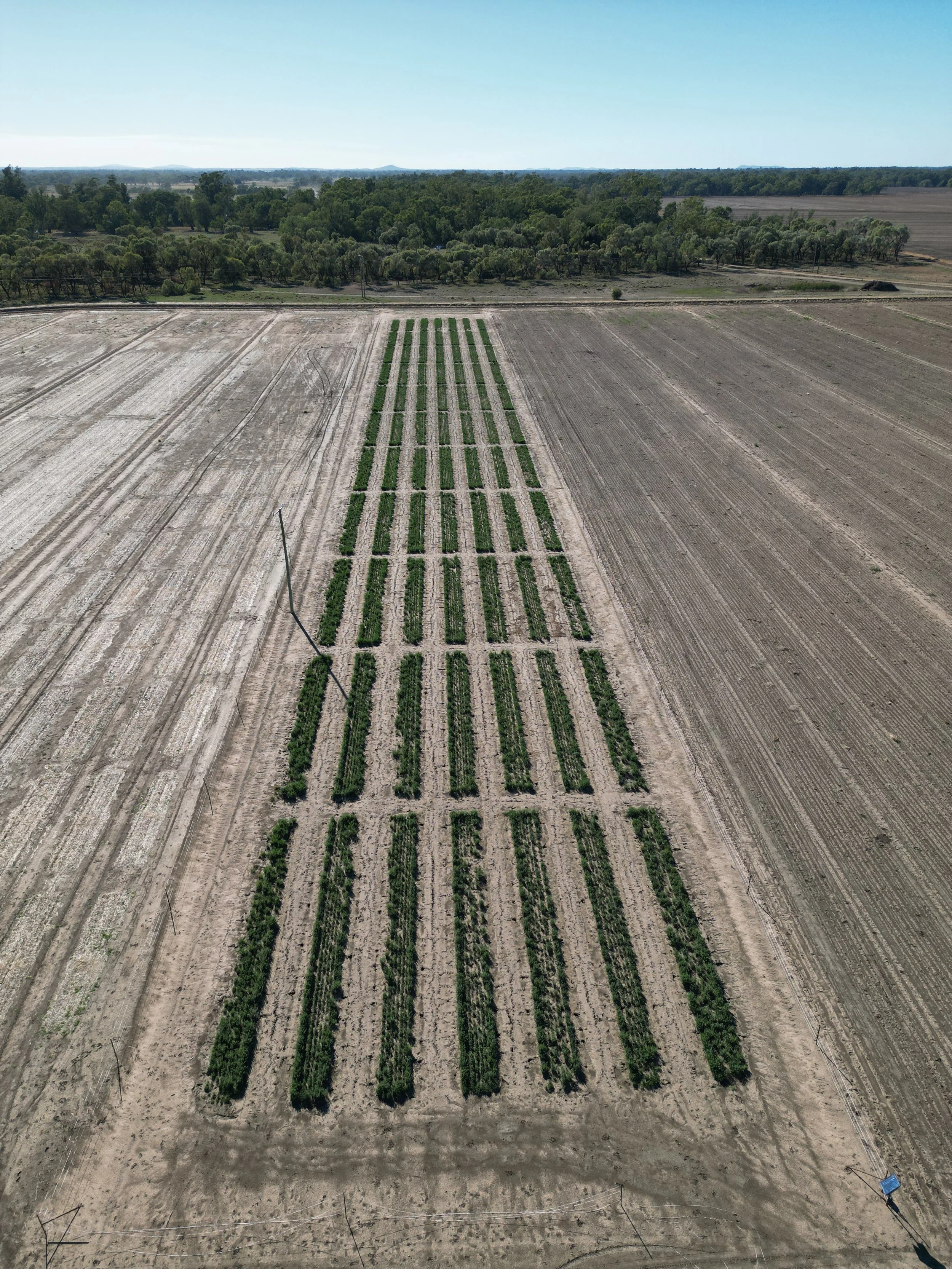 DJI_0778.JPG