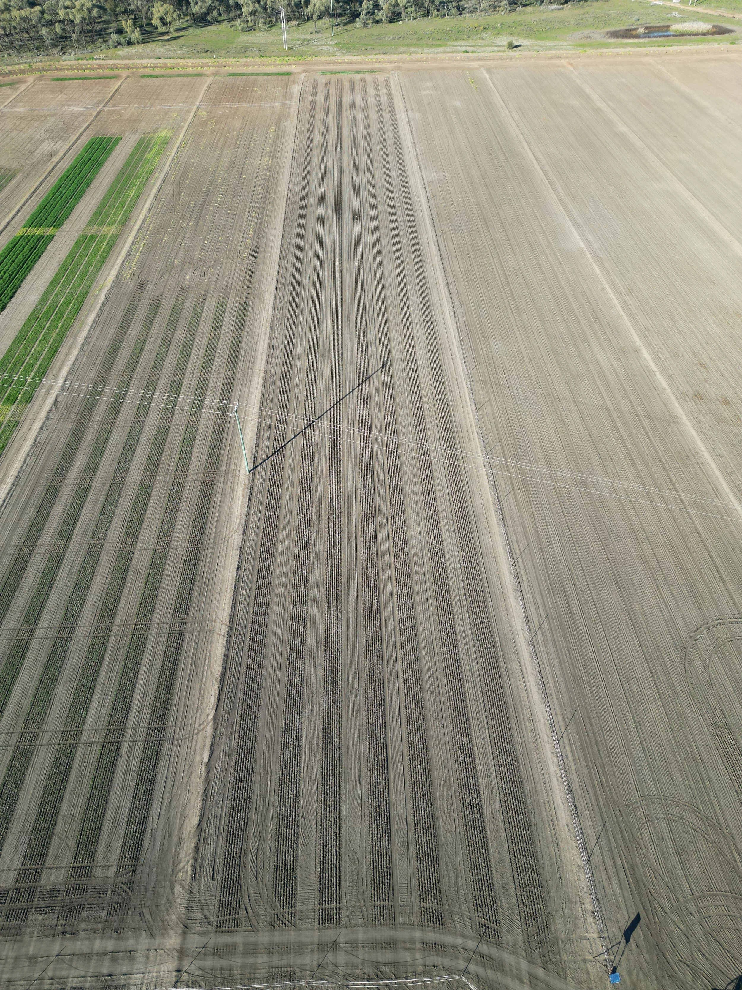DJI_0525.JPG