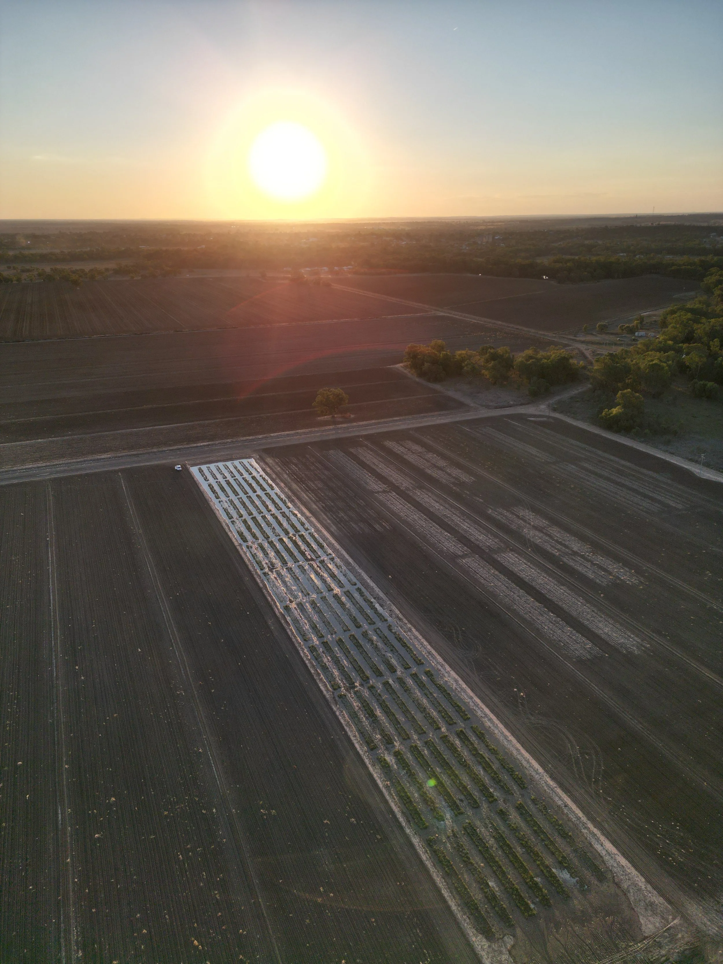 DJI_0806.JPG
