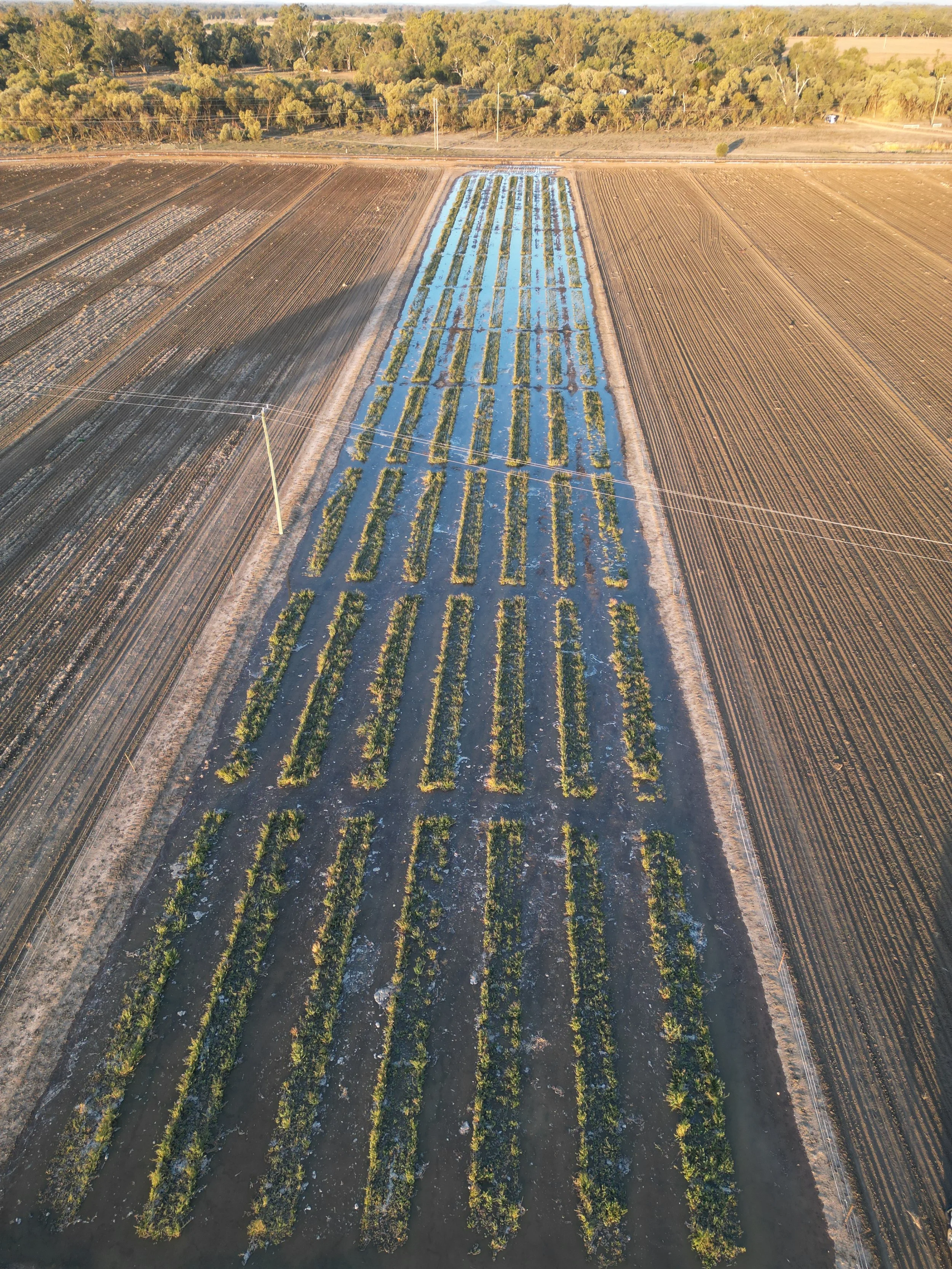 DJI_0804.JPG