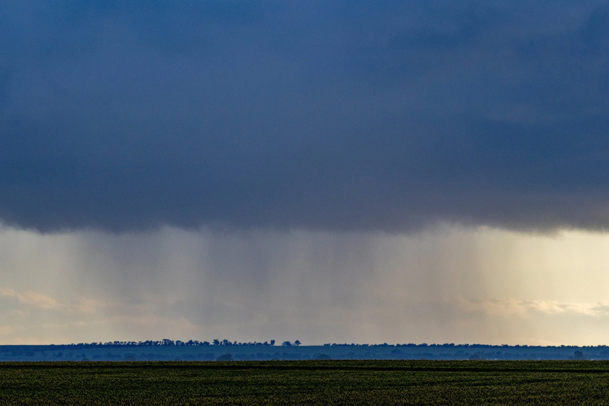 CWFS ‘Weather Wise’ project