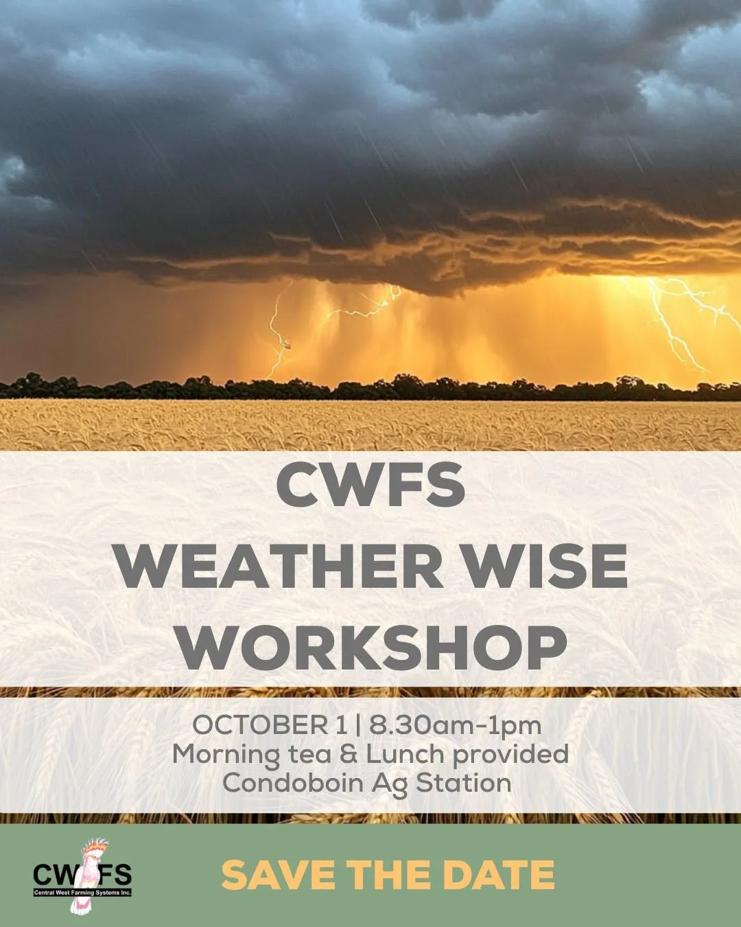 Weatherwise Workshop