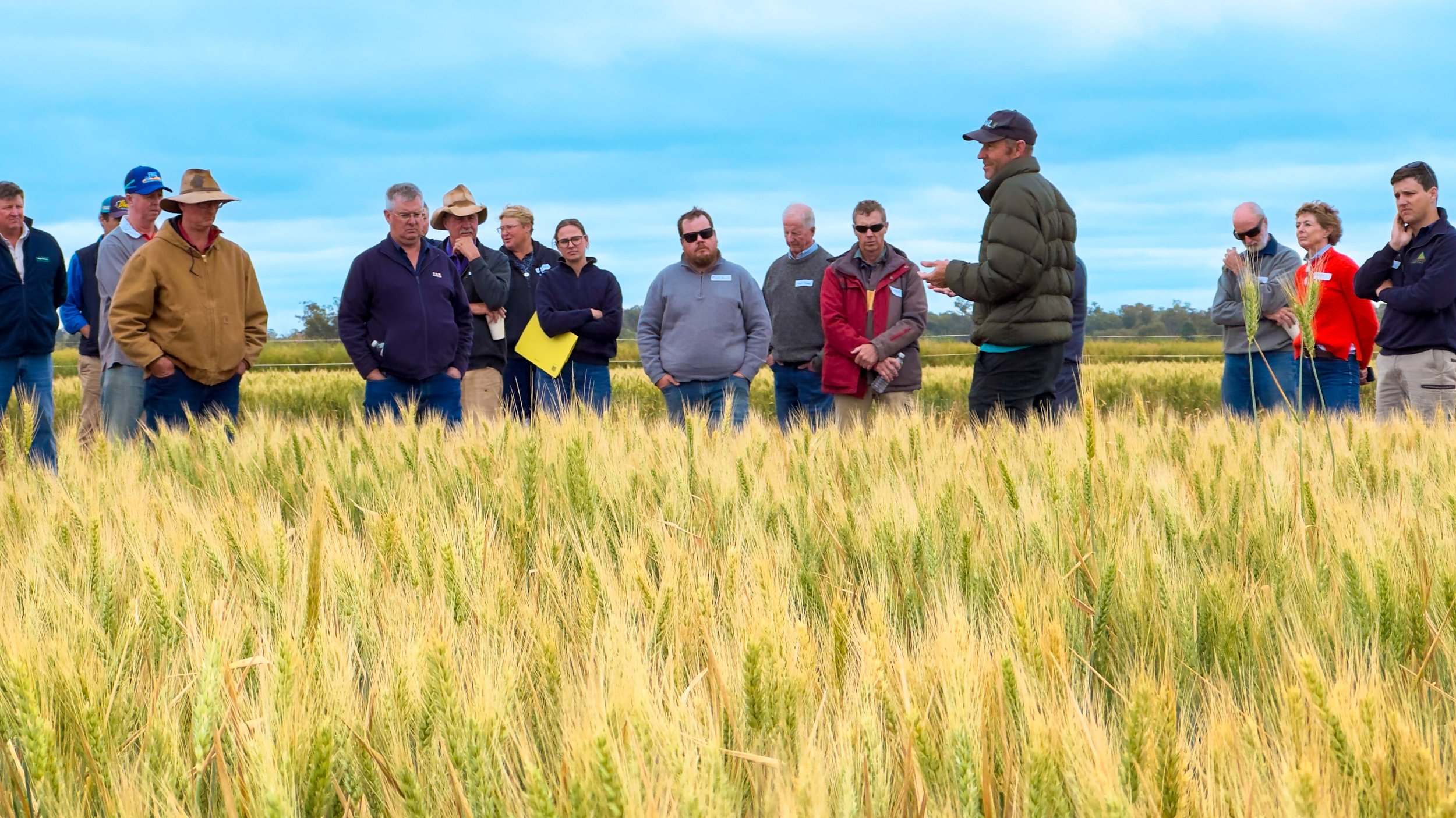 A group of people standing in a field of wheat, listening to a man who is speaking and holding a tablet, with a cloudy sky overhead.