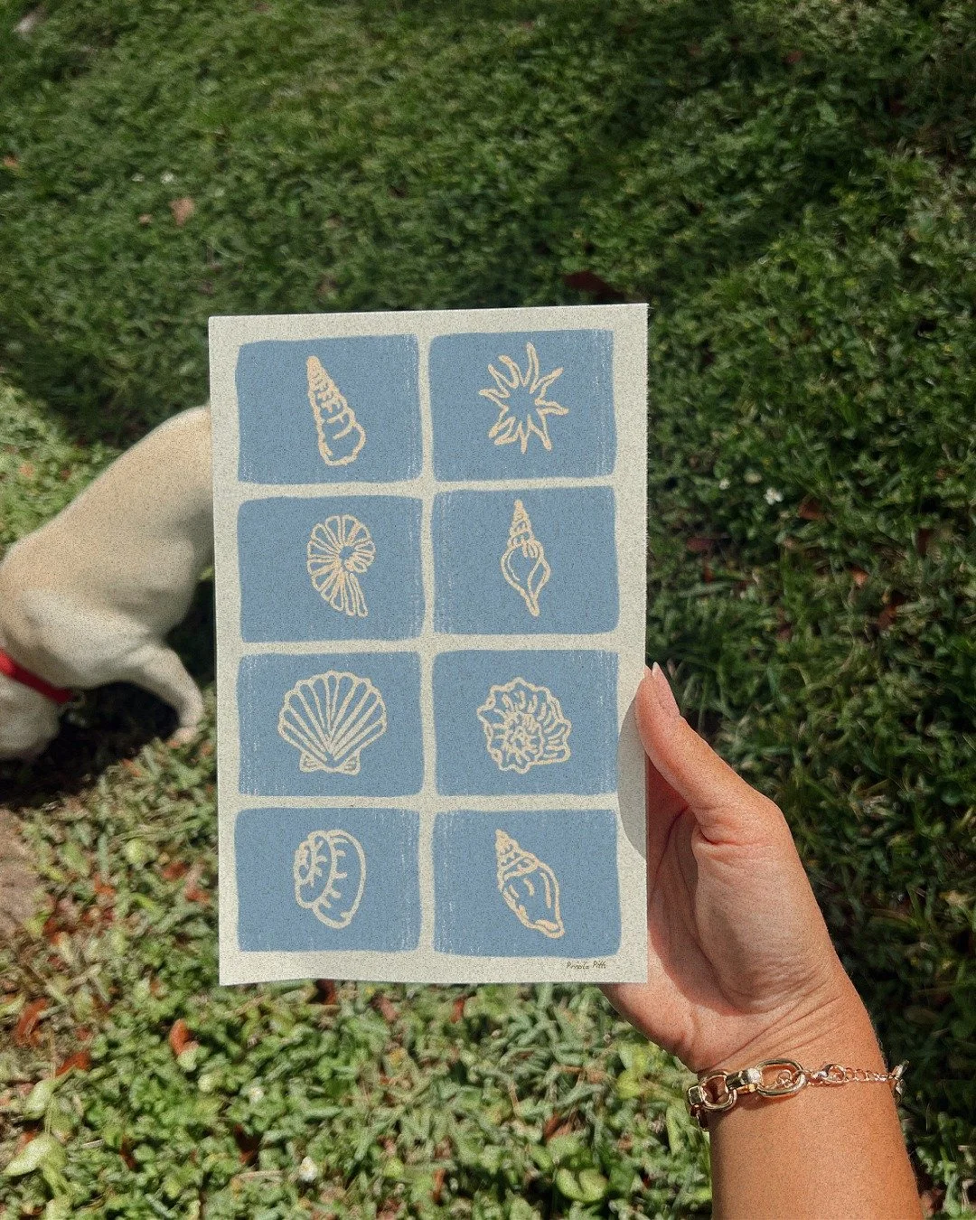 Coastal doodles - 2026