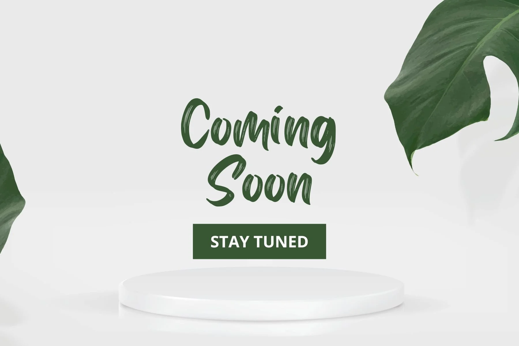 3D Prints and Models