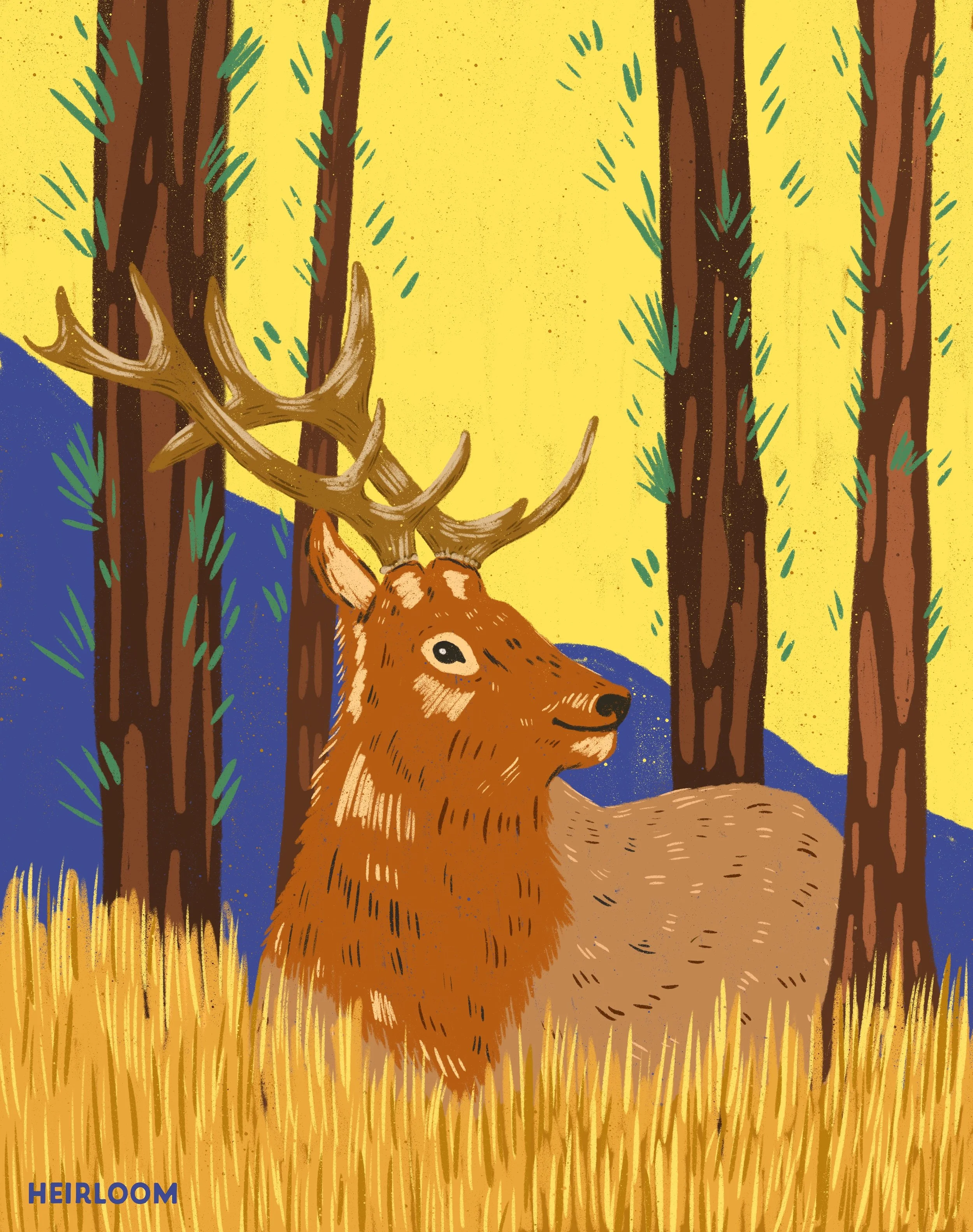 Mountain Elk Sticker.jpg