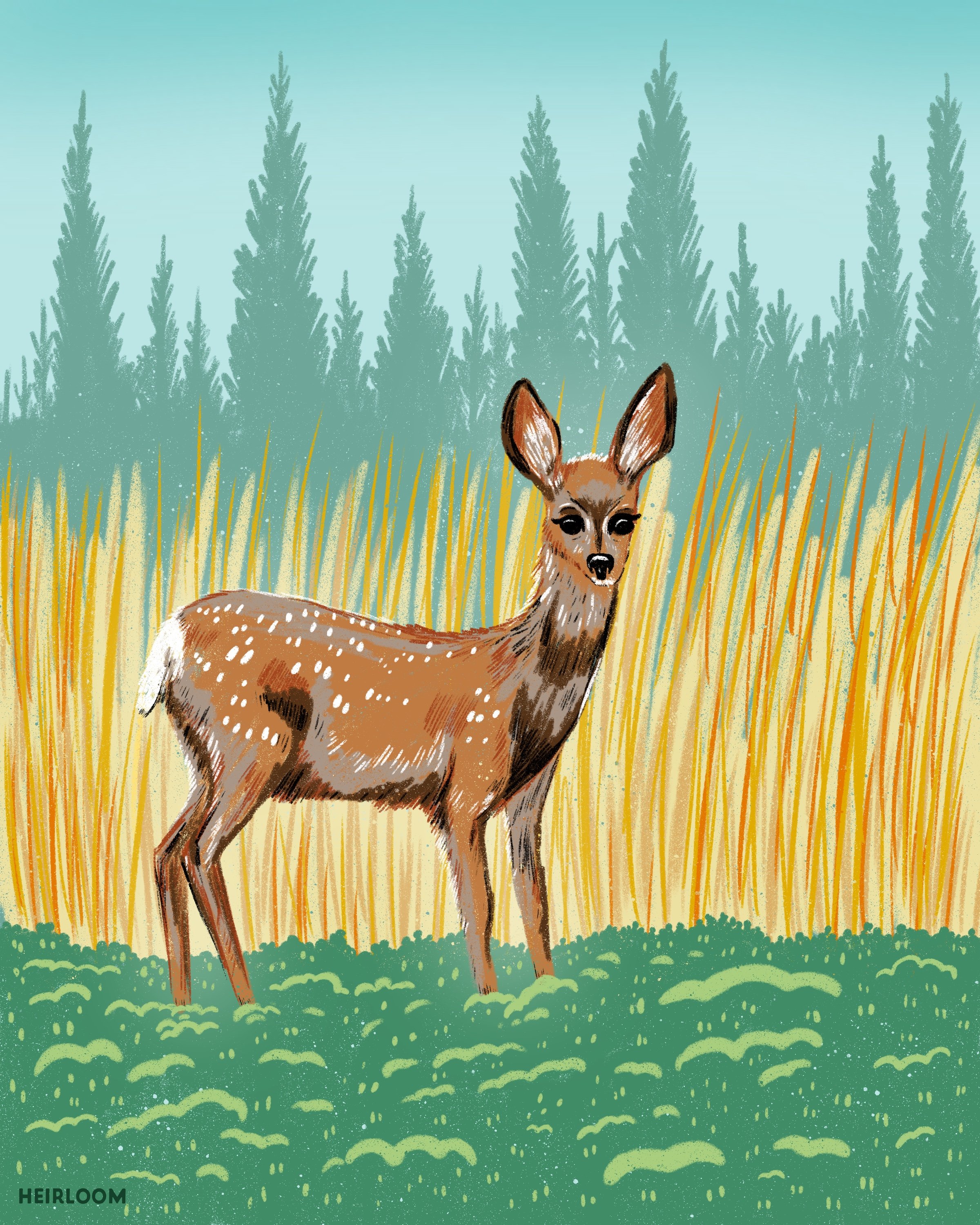 Meadow Fawn Sticker.jpg