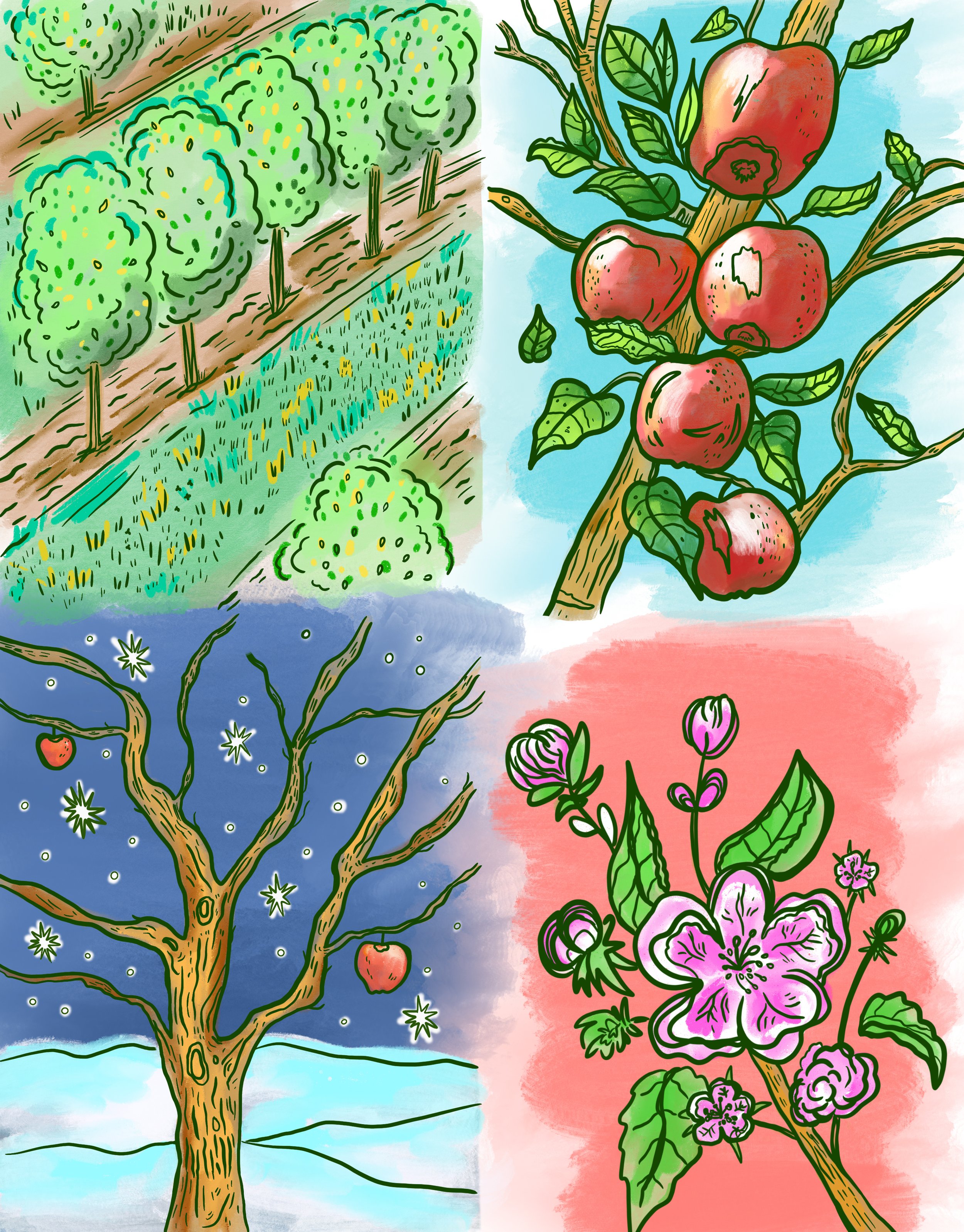 Apple Orchard Seasons Sticker copy.jpg