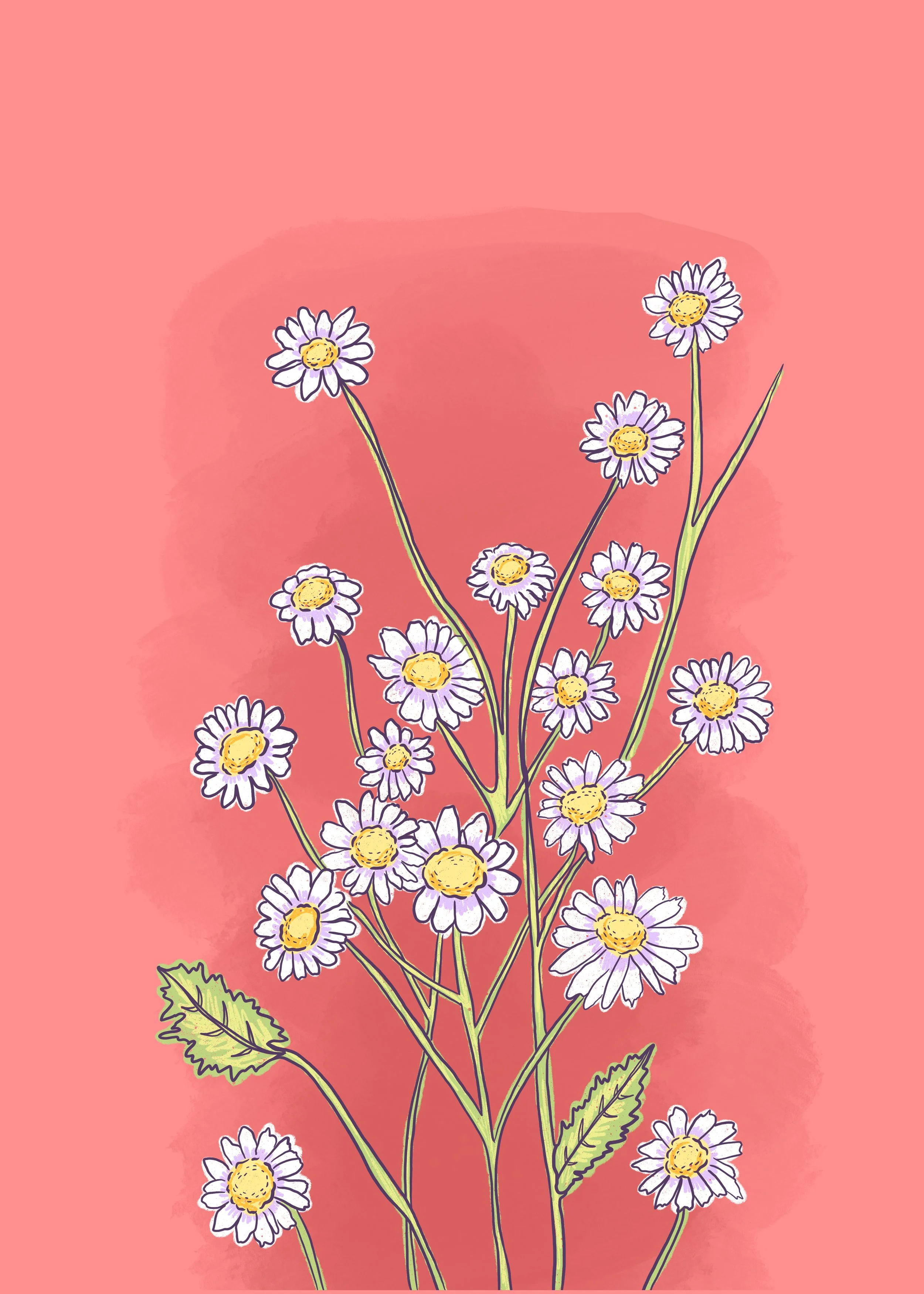 Feverfew_Bunch Sticker.jpg