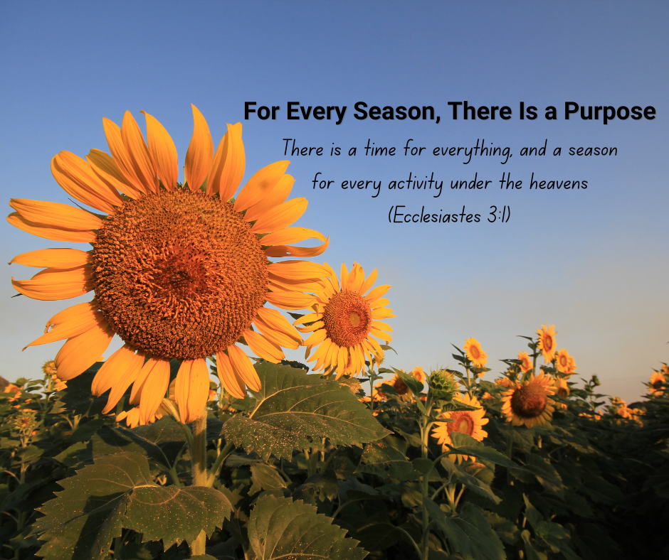 For Every Season, There Is a Purpose