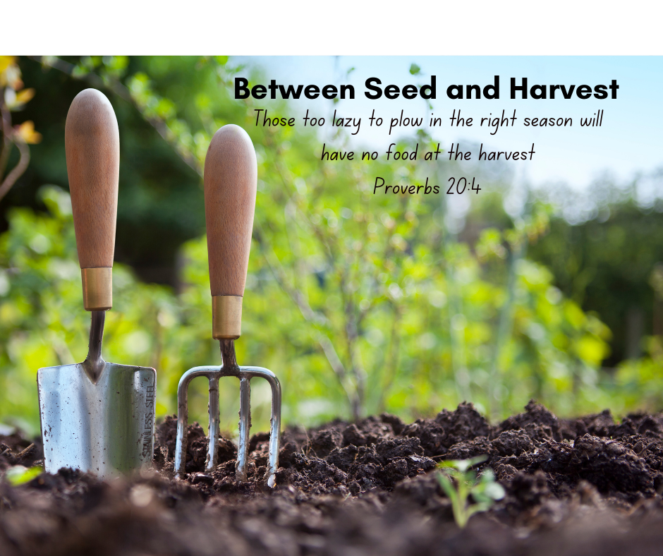 Between Seed and Harvest