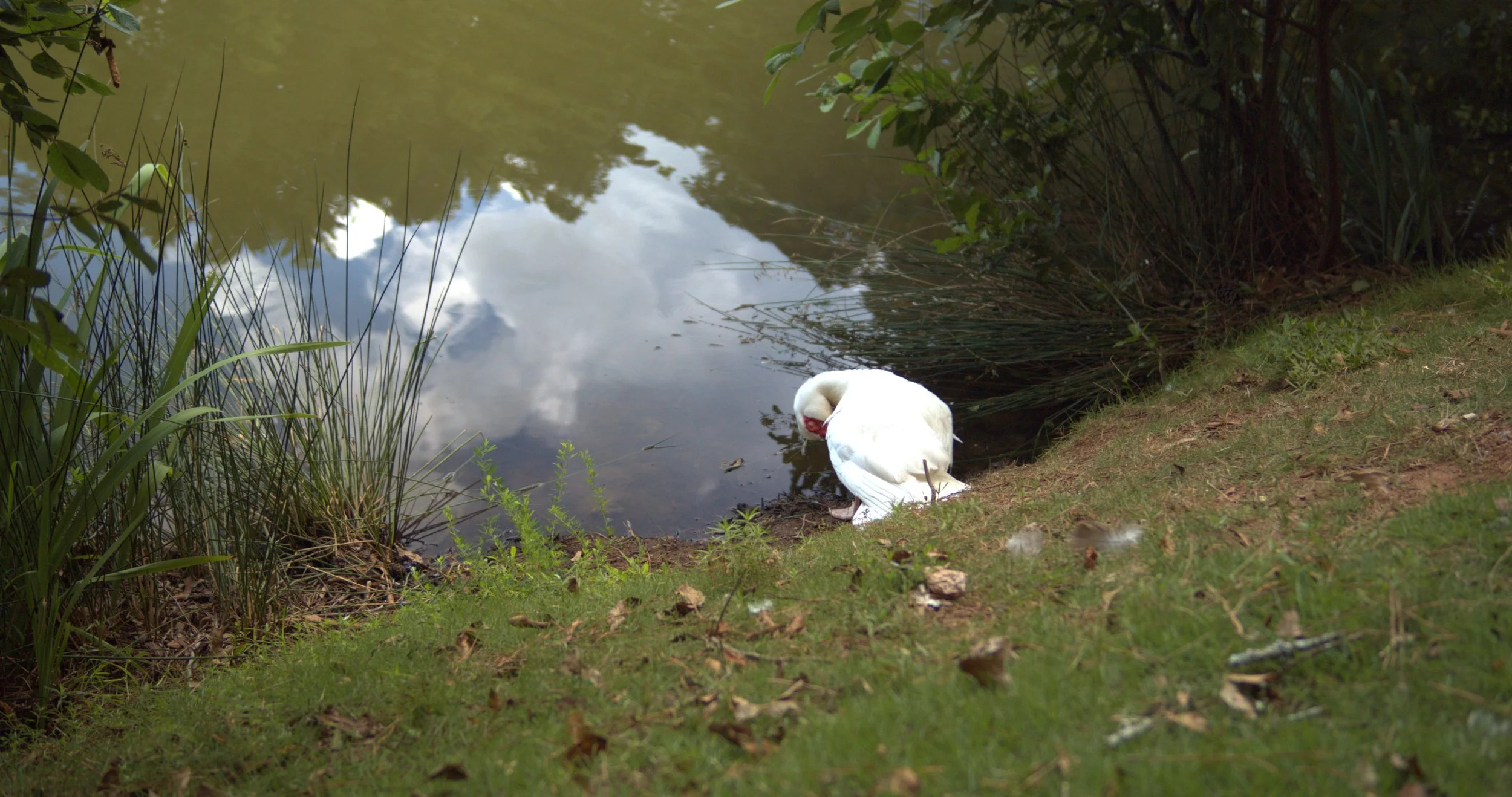 A024_07201210_S300.jpeg