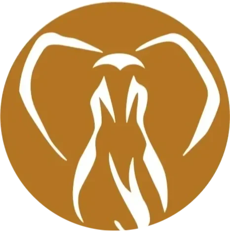 Mind &amp; Body Oasis