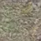 226_358446_ParkMelange.webp
