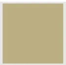 FB_SS27_Color_Sparrow.jpg