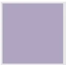 FB_SS27_Color_Foxglove.jpg